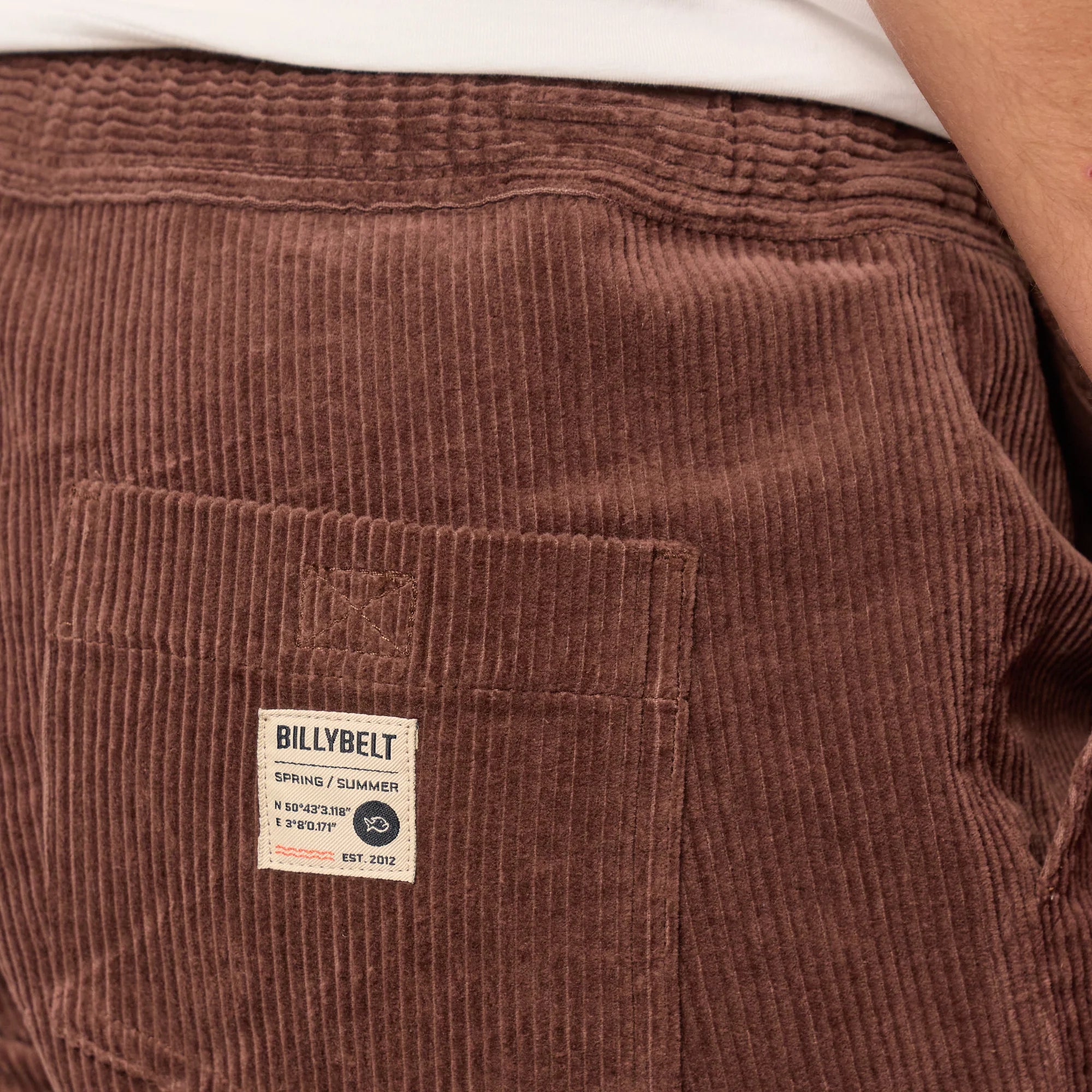 BILLYBELT Velvet Shorts in Brown