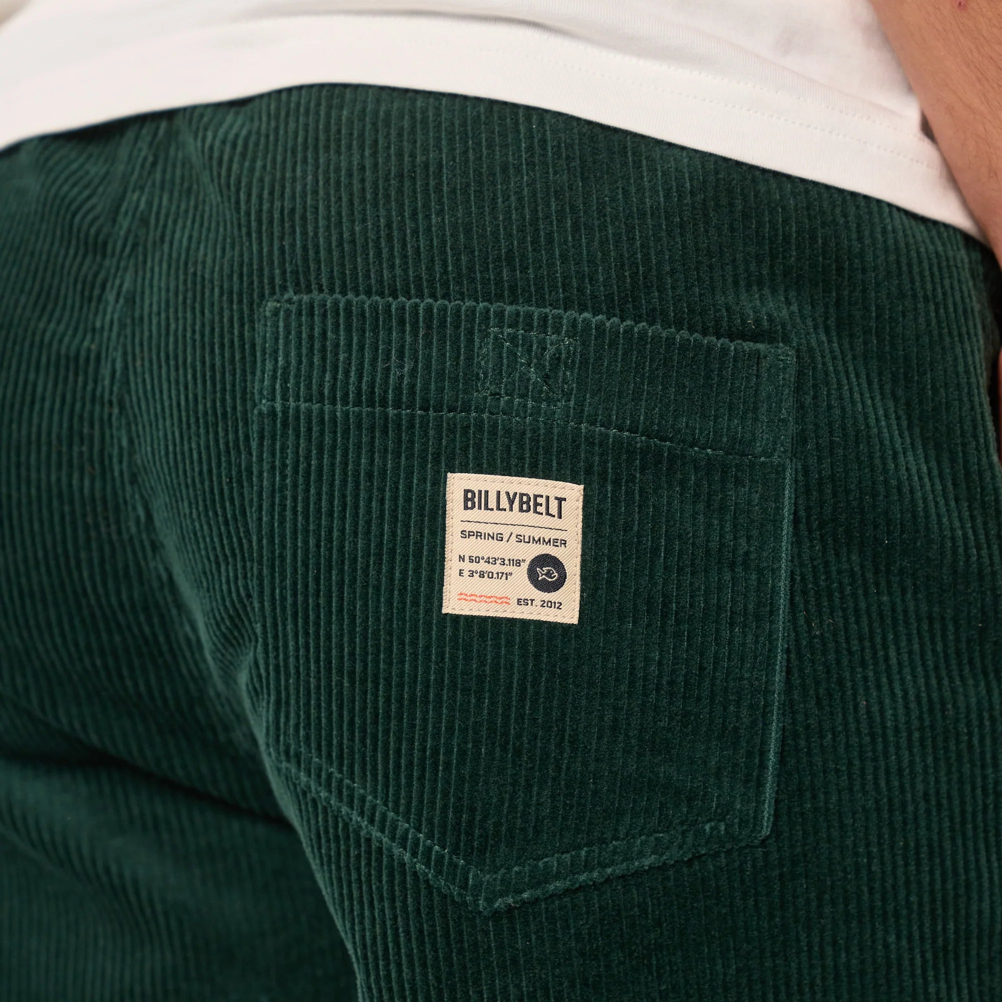 BILLYBELT Velvet Shorts in Dark Green