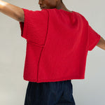 BEAUMONT ORGANIC Alessia Cotton Linen Knit Top in Scarlet