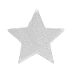 LULU COPENHAGEN Star Earring in Silver