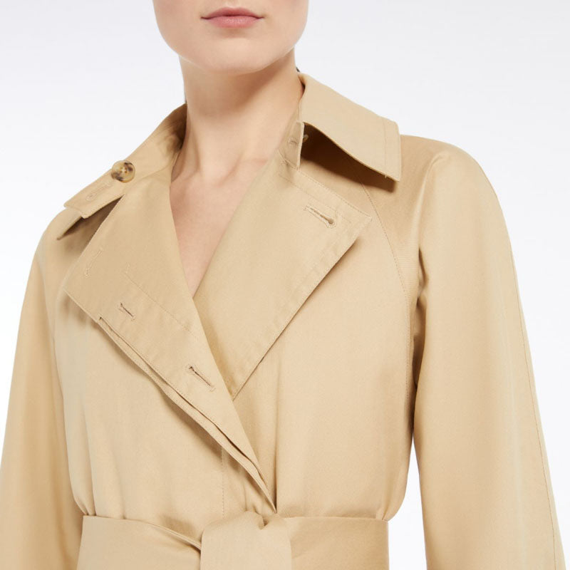 WEEKEND MAX MARA Pesco Dress in Beige Roses
