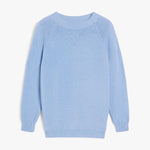 WEEKEND MAX MARA Linz Jumper in Sky Blue