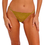 WACOAL Natsuki Lace Tanga Brief in Antique Gold