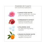 DELILAH Wake Up Radiant Hydrating Skin & Make Up Mist