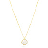 New TALIS CHAINS