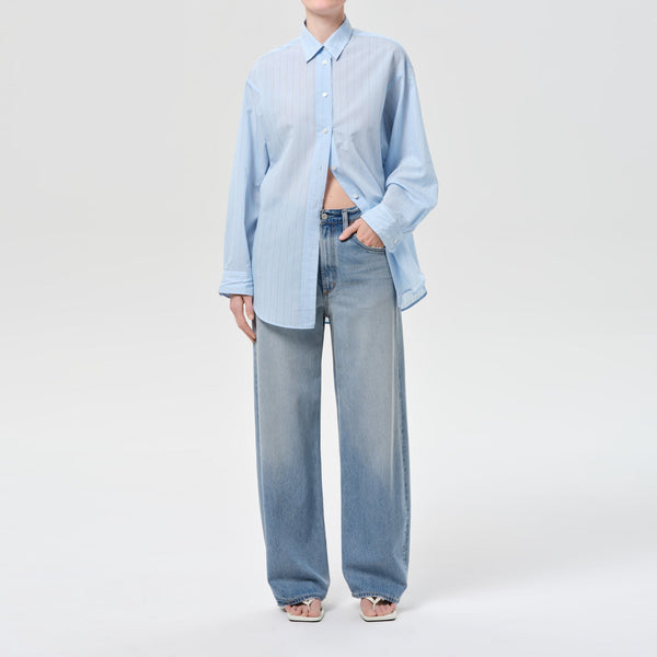 AGOLDE Low Curve Jeans in Reset