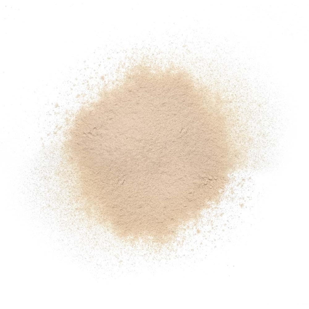 DELILAH Pure Touch Translucent Powder