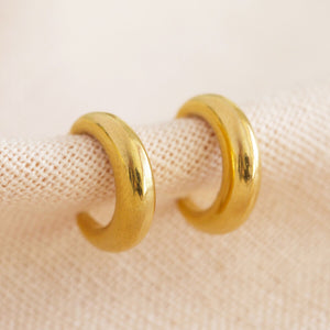 Stainless Steel Moon Hoop Earrings in Gold