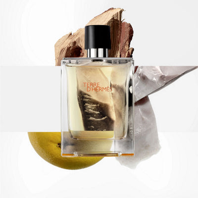 HERMES Terre dHermes Deodorant Stick 75ml