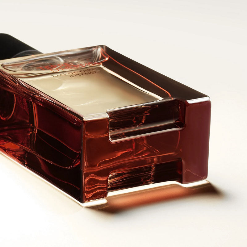 HERMES Terre d'Hermes Eau De Parfum Intense 50ML