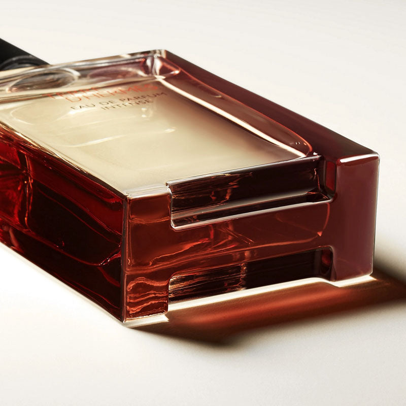 HERMES Terre d'Hermes Eau De Parfum Intense 100ML