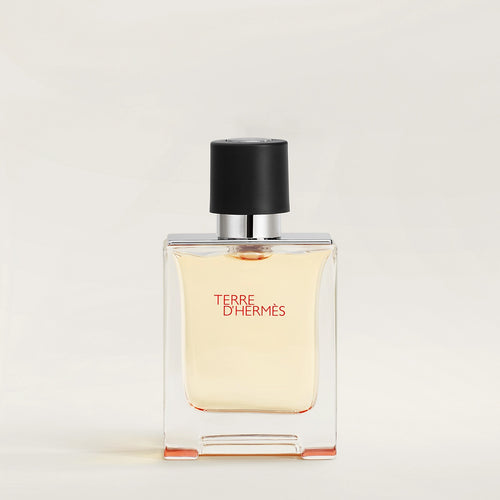 HERMES Terre dHermes EDT 100ml