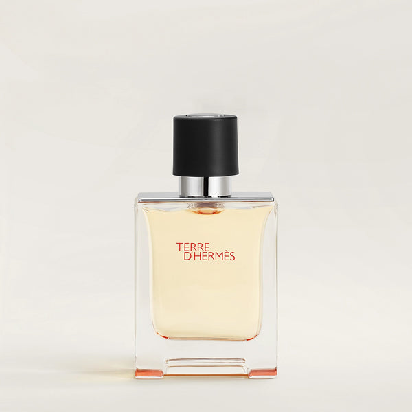 HERMES Terre dHermes EDT 100ml