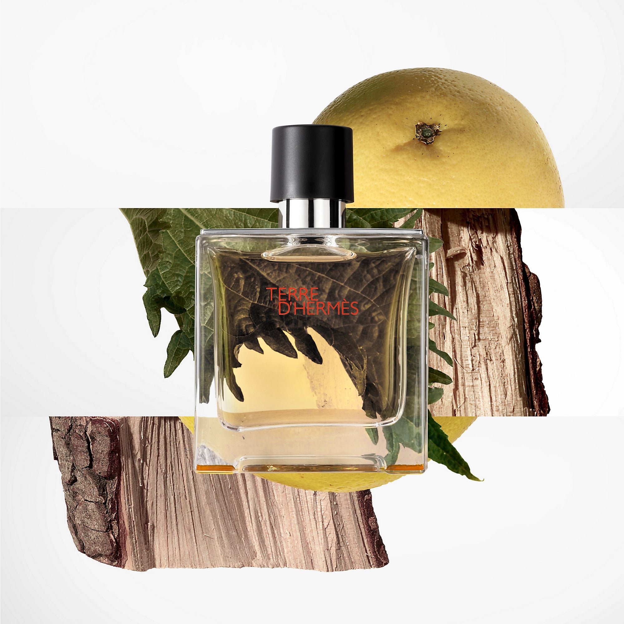 HERMES Terre d'Hermès Pure Perfume 75ml