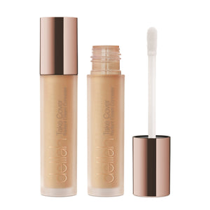 Take Cover Concealer - Marble