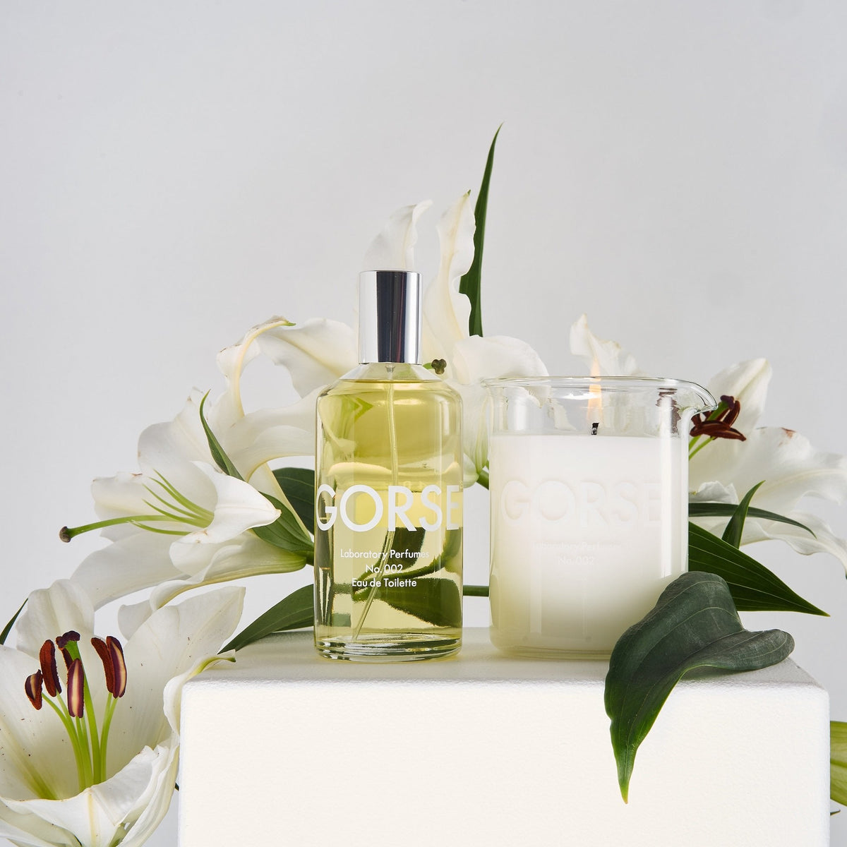 LABORATORY PERFUMES Gorse Candle