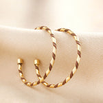 Enamel Twisted Hoop Earrings in Gold/Brown