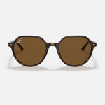 RAY-BAN Thalia Sunglasses - Havana