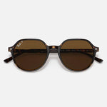 RAY-BAN Thalia Sunglasses - Havana