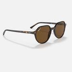 RAY-BAN Thalia Sunglasses - Havana