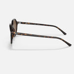RAY-BAN Thalia Sunglasses - Havana