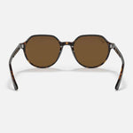 RAY-BAN Thalia Sunglasses - Havana