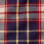 Woven Check Shirt in Red/Blue